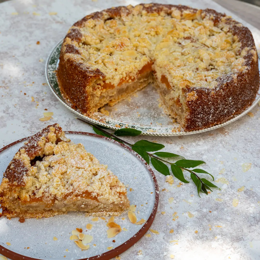 Ein Stück vom Aprikosenstreuselkuchen von Oma Sonja von Kuchentratsch