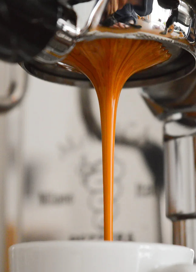Siebträgermiaschine lässt Kaffee in Tasse