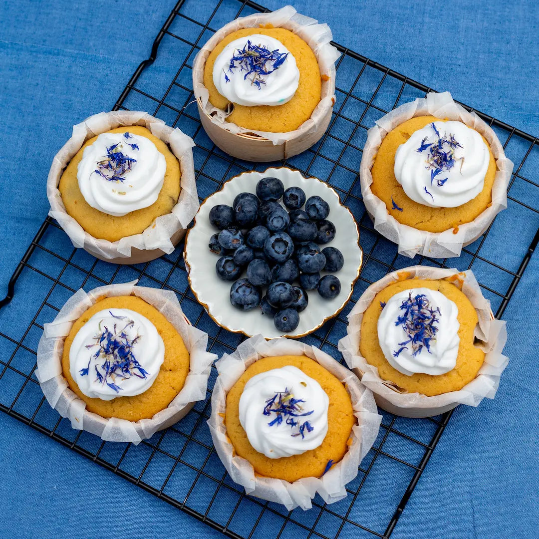 Heidelbeer-Cupcakes von Oma Brigitte im Set 